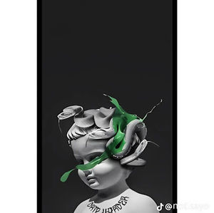 Meet your Posher, David